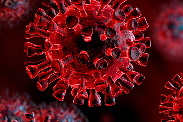 Image of Coronavurus Cell